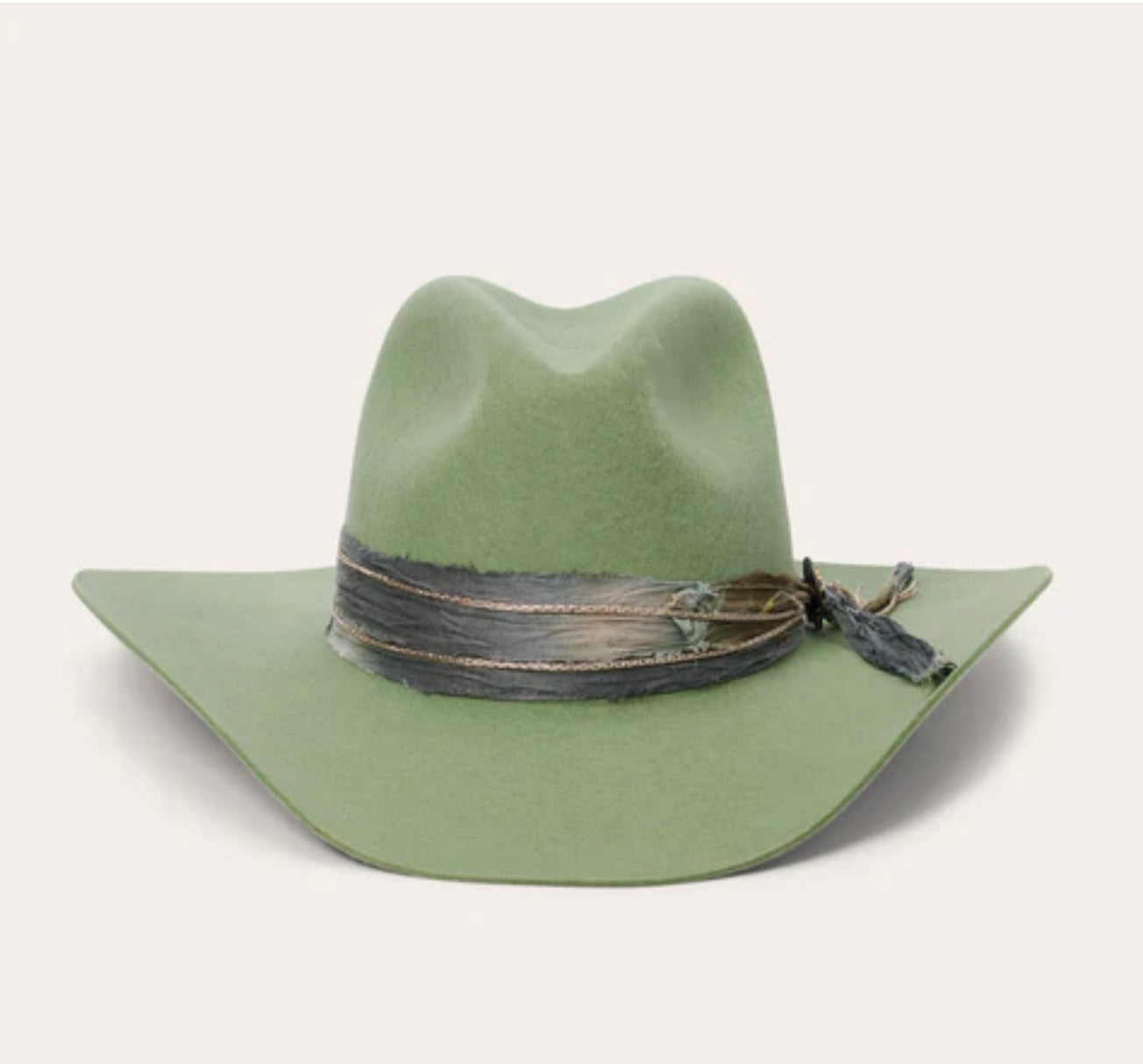 LAUREL HILL EUCALYPTUS