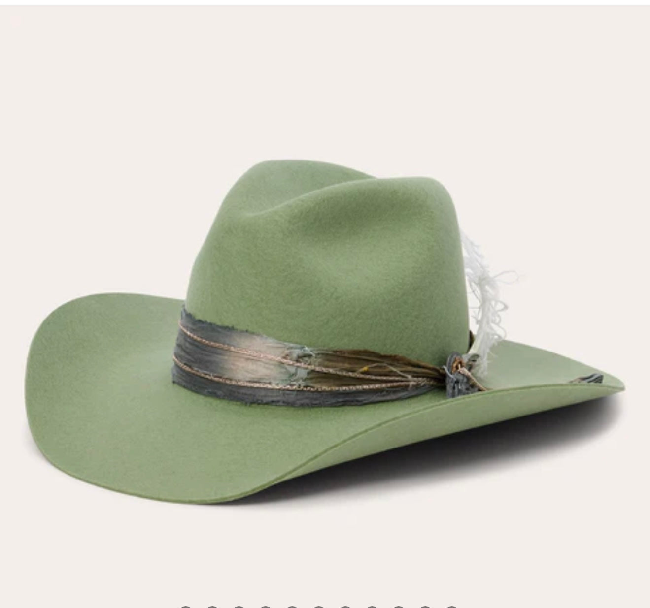 LAUREL HILL EUCALYPTUS